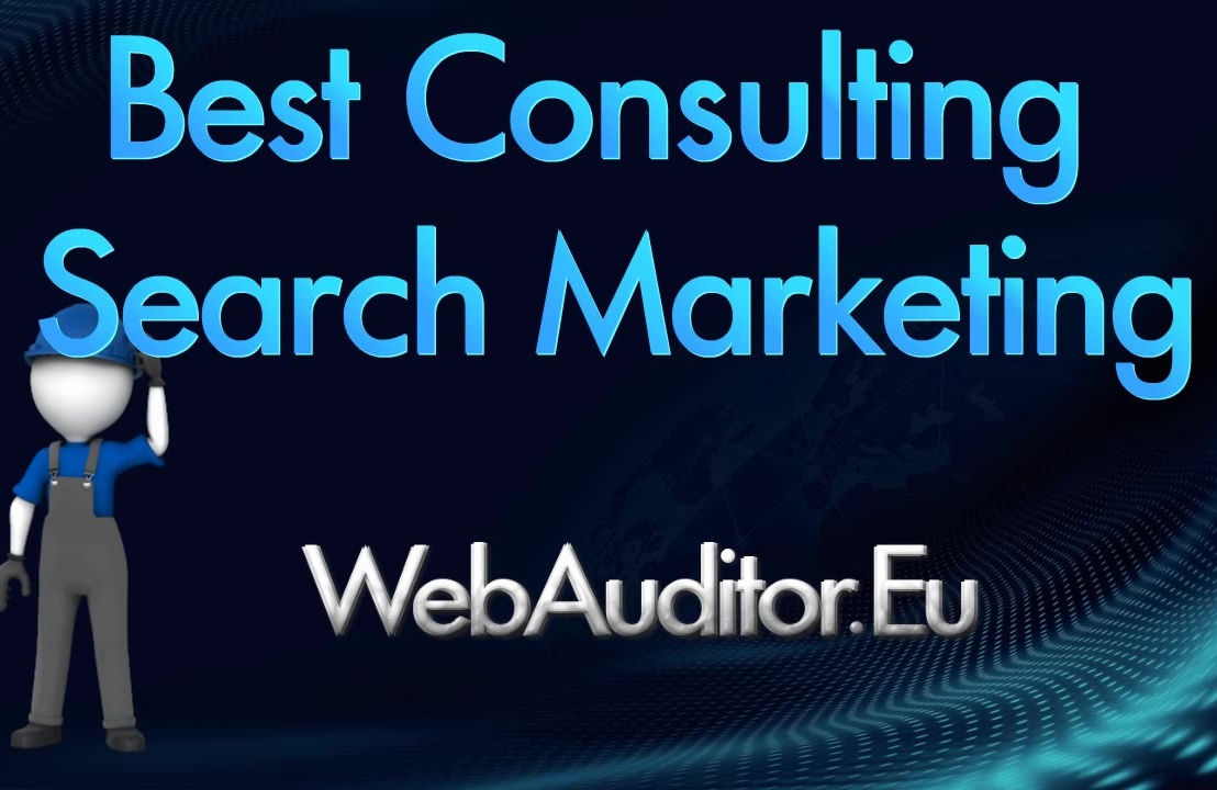#WebAuditor.eu e Commerce Marketing Best Online Advertising